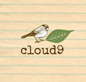cloud9 design, cloud9 design studio, cloud9 creative, cloud9 marketing, cloud9 branding, cloud9 design texas marketing